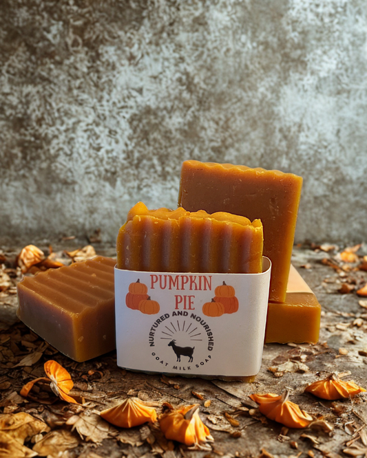 Pumpkin Pie