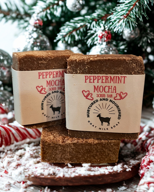Peppermint Mocha Scrub Bar