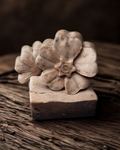 Vanilla Coffee Flower Scrub Bar